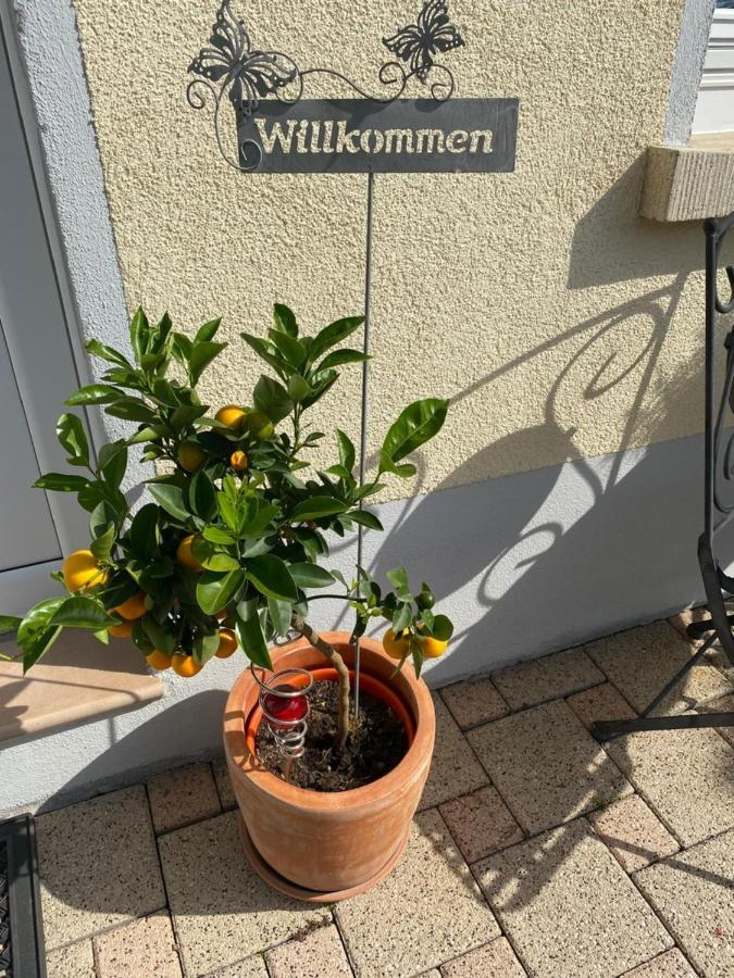 Gästehaus und Ferienwohnung Bächle Bad Peterstal-Griesbach Exterior foto